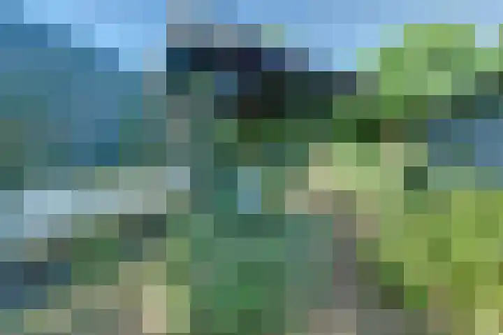 Zwanesteeg 6 Raamsdonksveer thumbnail 30