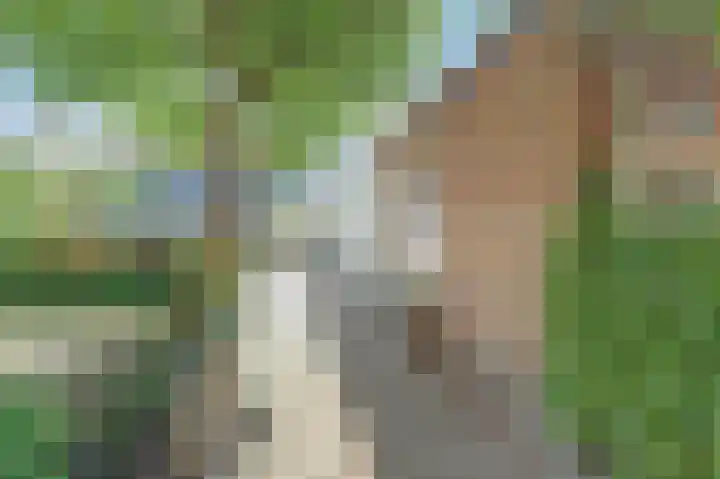 Zwanesteeg 6 Raamsdonksveer thumbnail 31