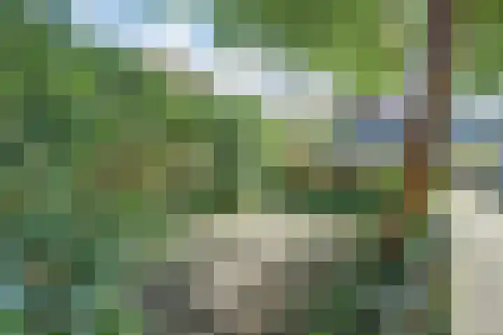 Zwanesteeg 6 Raamsdonksveer thumbnail 32