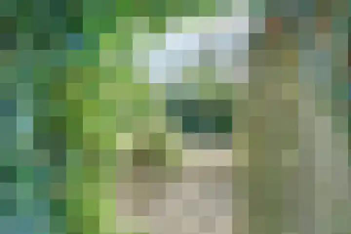 Zwanesteeg 6 Raamsdonksveer thumbnail 33