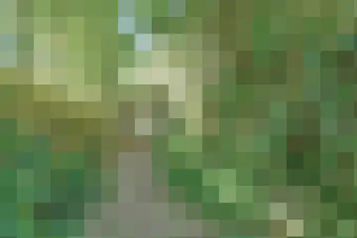 Zwanesteeg 6 Raamsdonksveer thumbnail 35