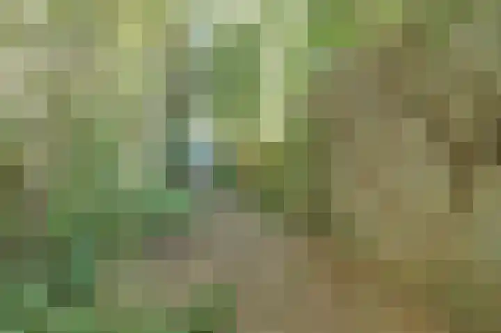 Zwanesteeg 6 Raamsdonksveer thumbnail 36