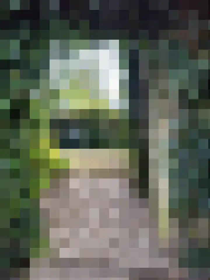 Zwanesteeg 6 Raamsdonksveer thumbnail 37