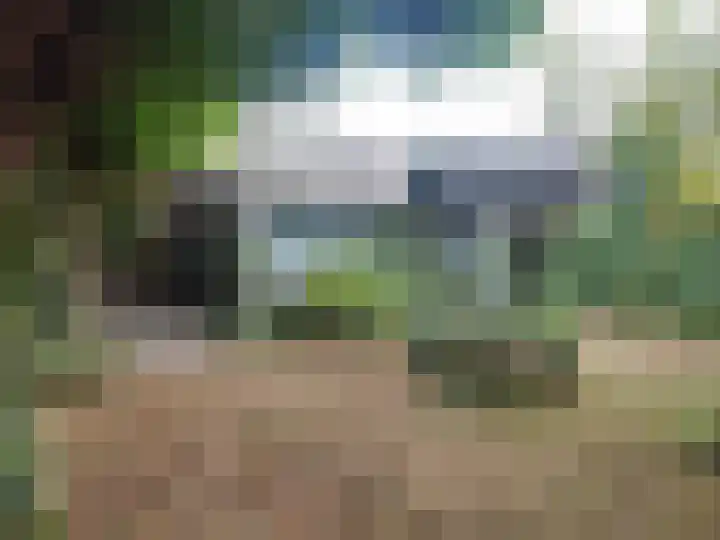 Zwanesteeg 6 Raamsdonksveer thumbnail 38