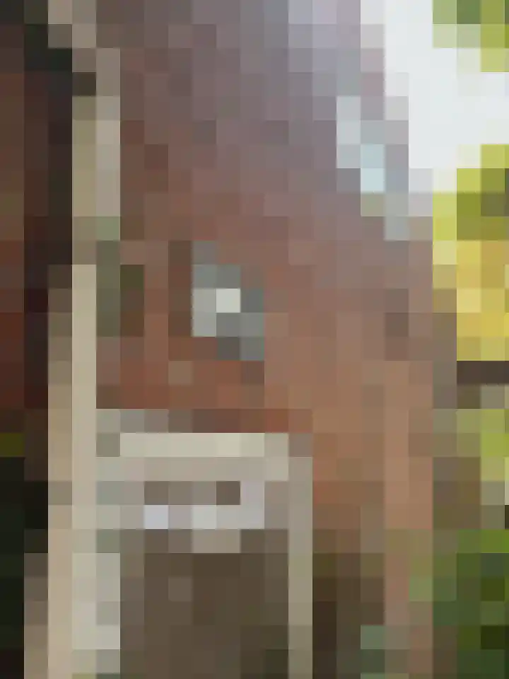Zwanesteeg 6 Raamsdonksveer thumbnail 39