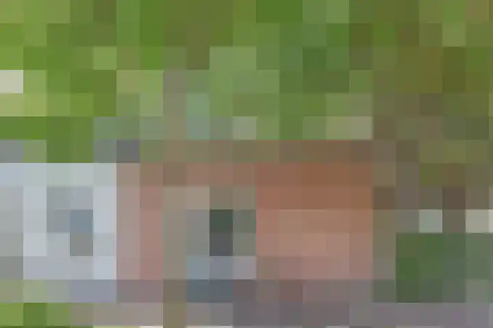 Zwanesteeg 6 Raamsdonksveer thumbnail 5