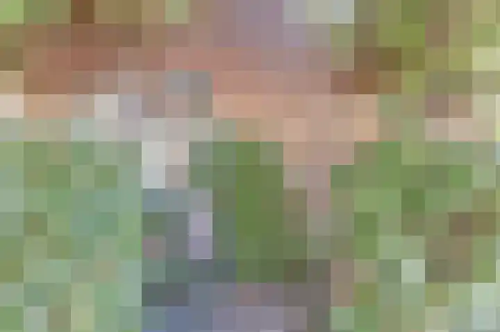 Zwanesteeg 6 Raamsdonksveer thumbnail 6