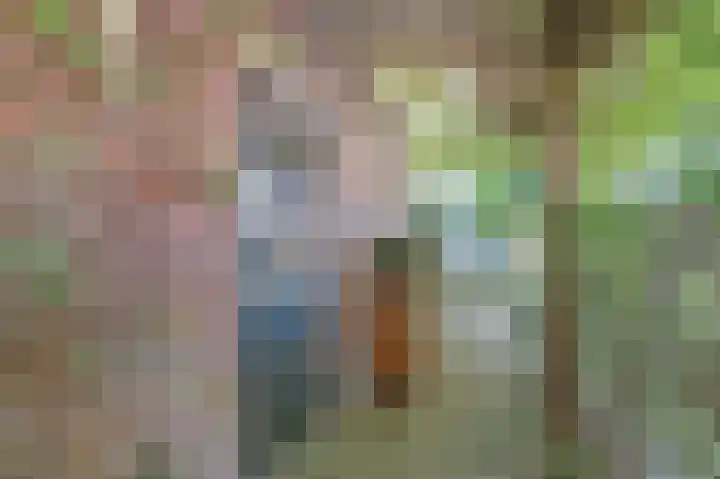 Zwanesteeg 6 Raamsdonksveer thumbnail 7