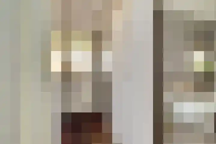 Zwanesteeg 6 Raamsdonksveer thumbnail 8