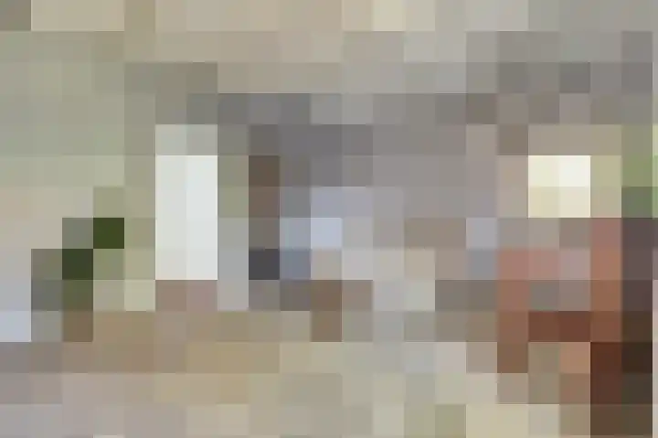 Zwanesteeg 6 Raamsdonksveer thumbnail 9