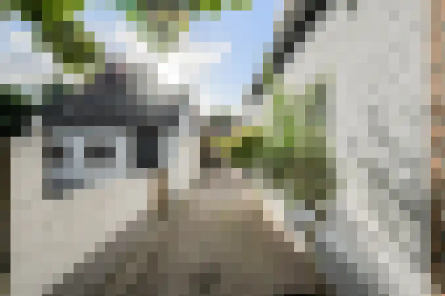 Zwanesteeg 8 Raamsdonksveer thumbnail 10