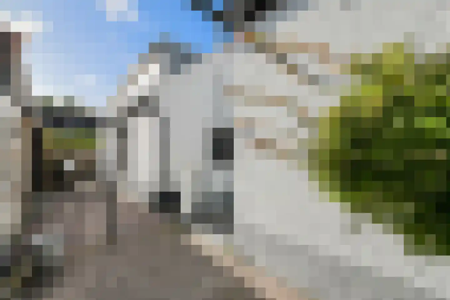 Zwanesteeg 8 Raamsdonksveer thumbnail 11