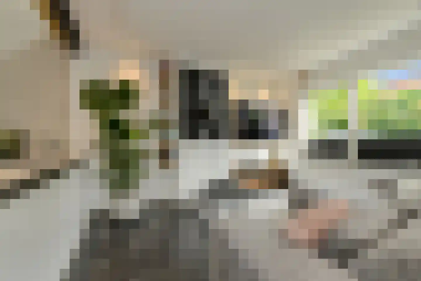 Zwanesteeg 8 Raamsdonksveer thumbnail 14