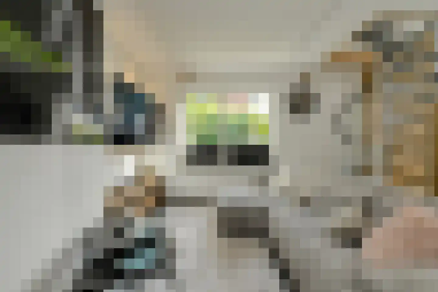 Zwanesteeg 8 Raamsdonksveer thumbnail 15