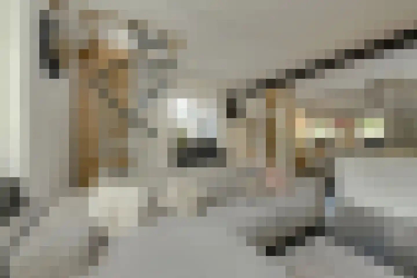 Zwanesteeg 8 Raamsdonksveer thumbnail 16