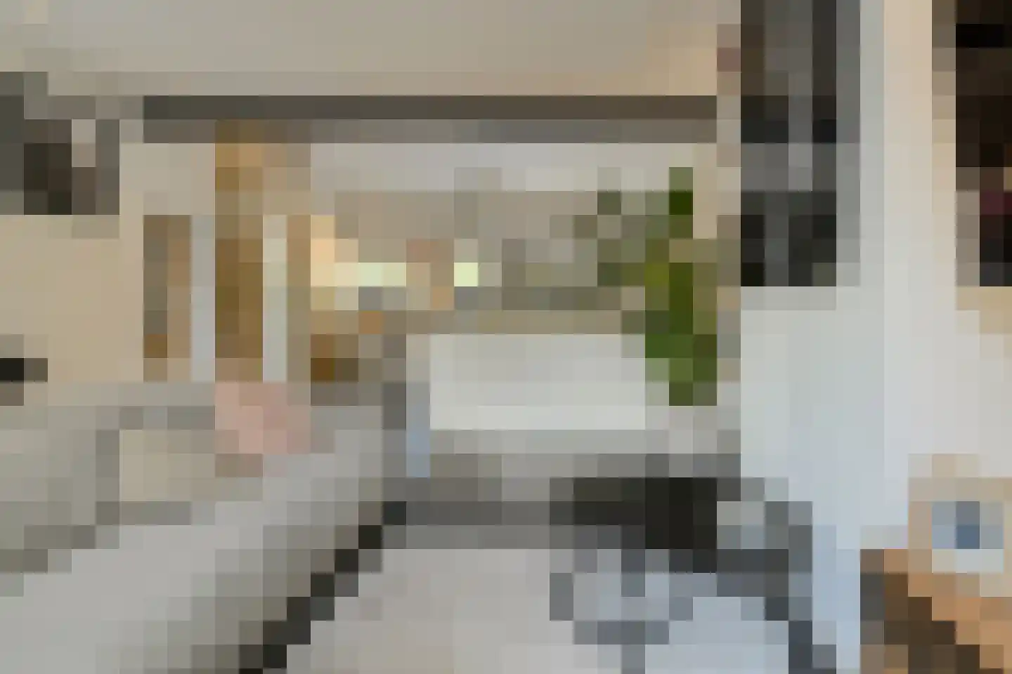 Zwanesteeg 8 Raamsdonksveer thumbnail 17