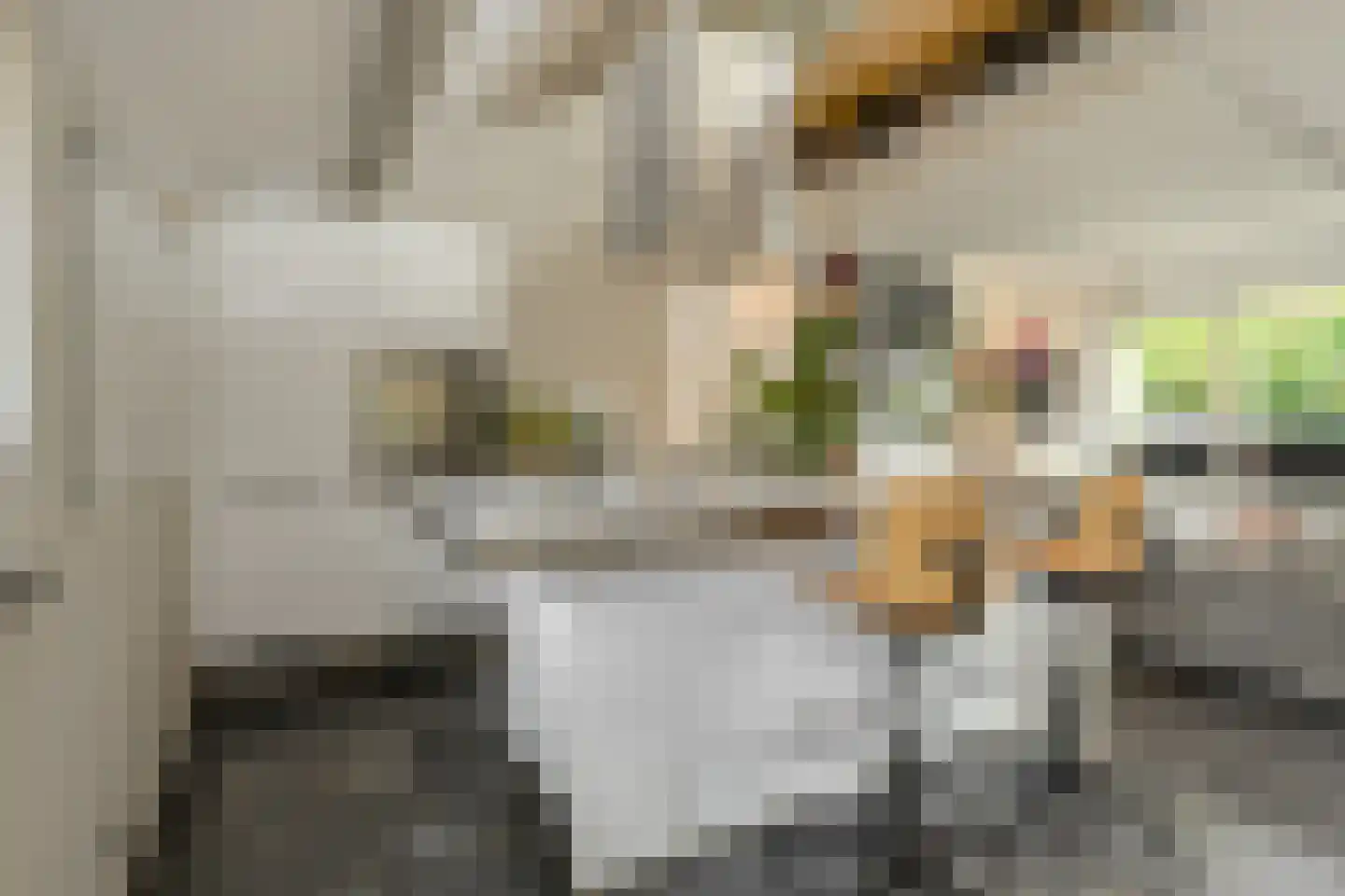 Zwanesteeg 8 Raamsdonksveer thumbnail 21