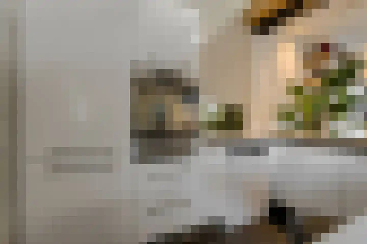 Zwanesteeg 8 Raamsdonksveer thumbnail 22
