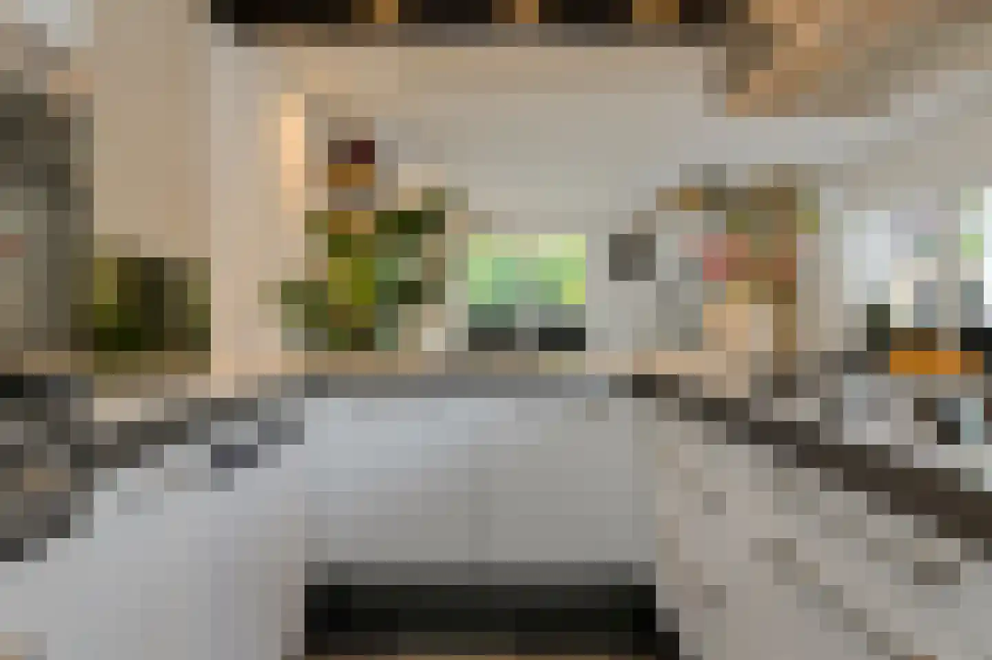 Zwanesteeg 8 Raamsdonksveer thumbnail 23
