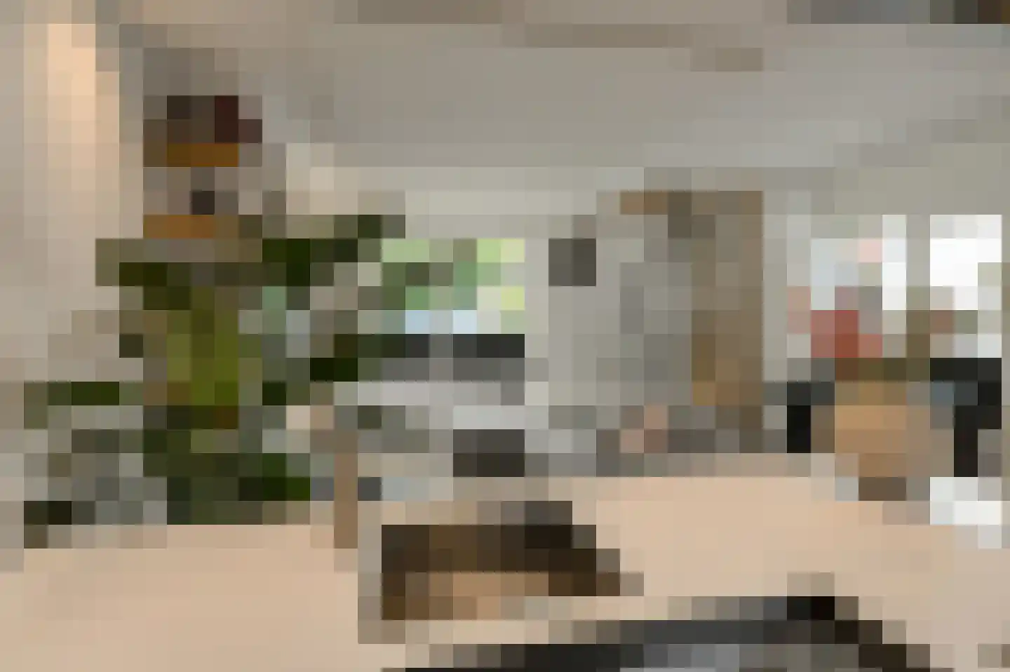 Zwanesteeg 8 Raamsdonksveer thumbnail 24