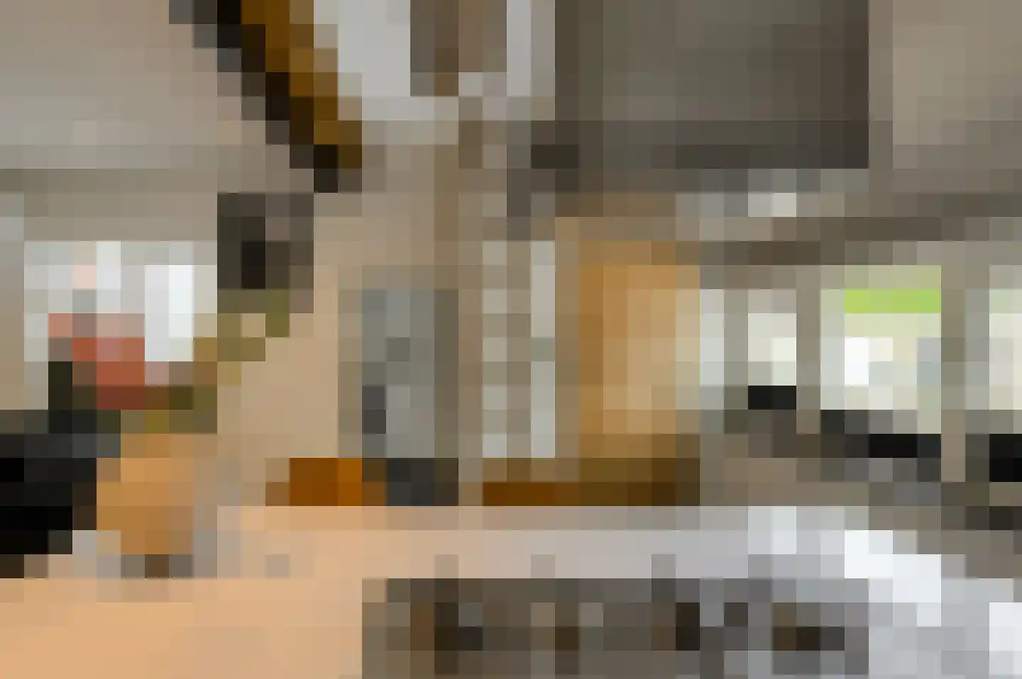 Zwanesteeg 8 Raamsdonksveer thumbnail 25