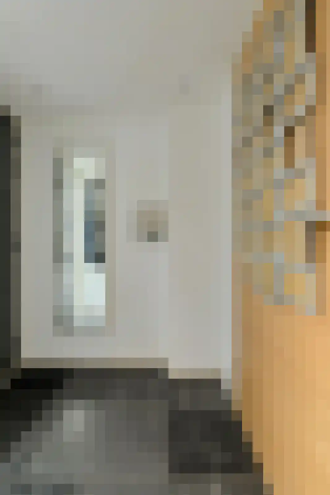 Zwanesteeg 8 Raamsdonksveer thumbnail 27