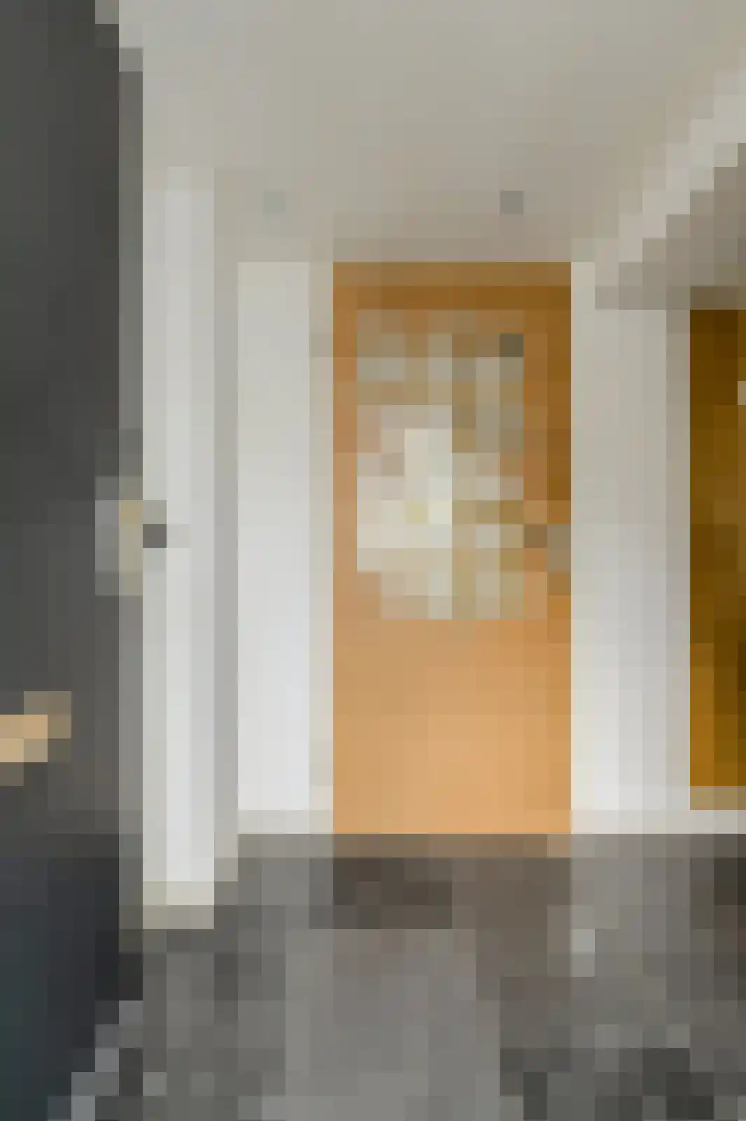 Zwanesteeg 8 Raamsdonksveer thumbnail 28