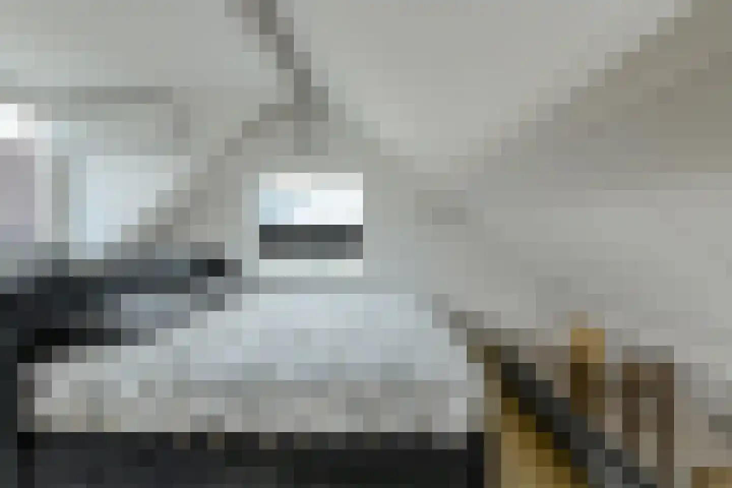 Zwanesteeg 8 Raamsdonksveer thumbnail 31