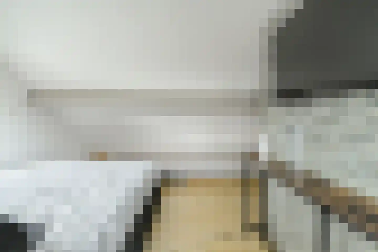 Zwanesteeg 8 Raamsdonksveer thumbnail 32