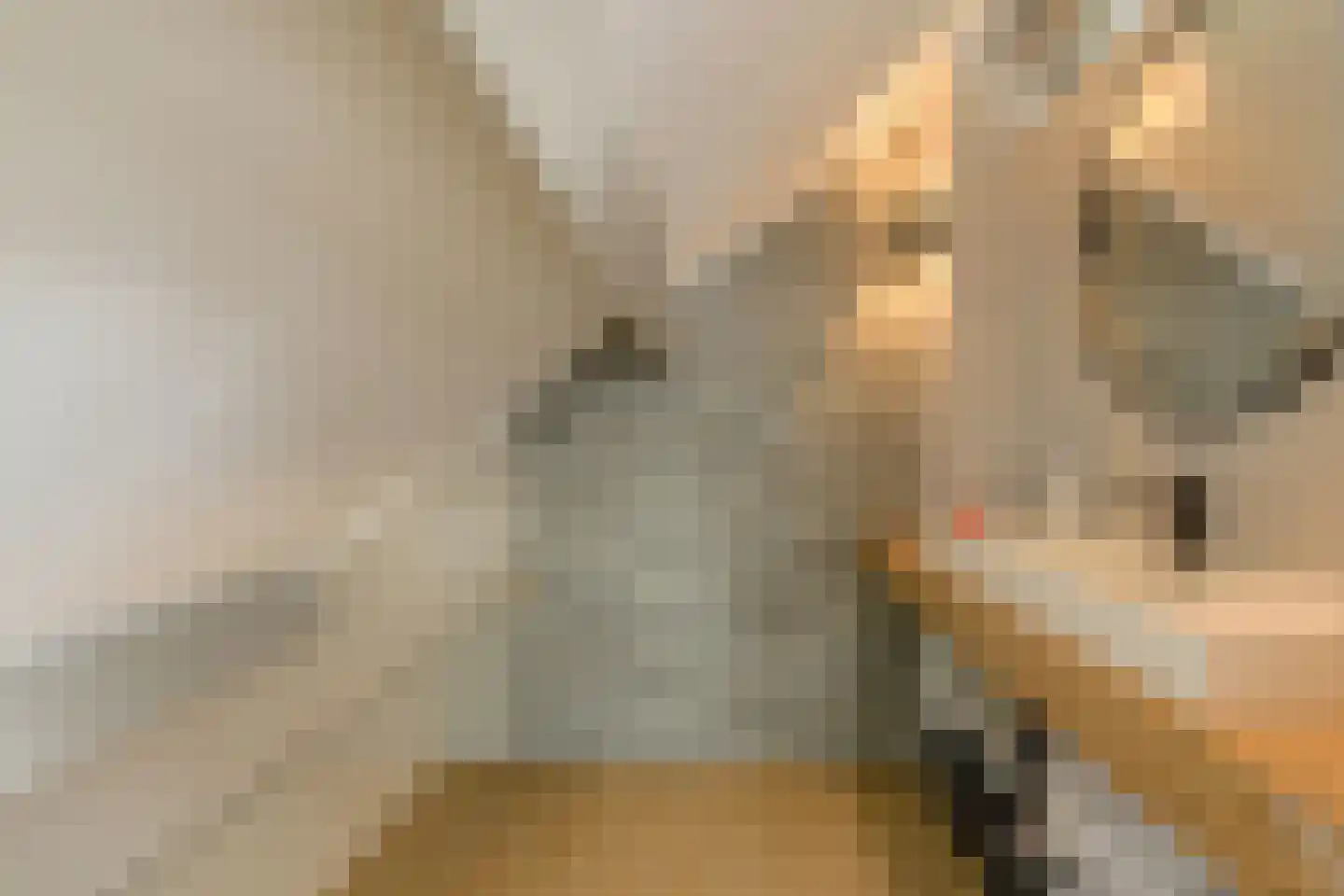 Zwanesteeg 8 Raamsdonksveer thumbnail 33