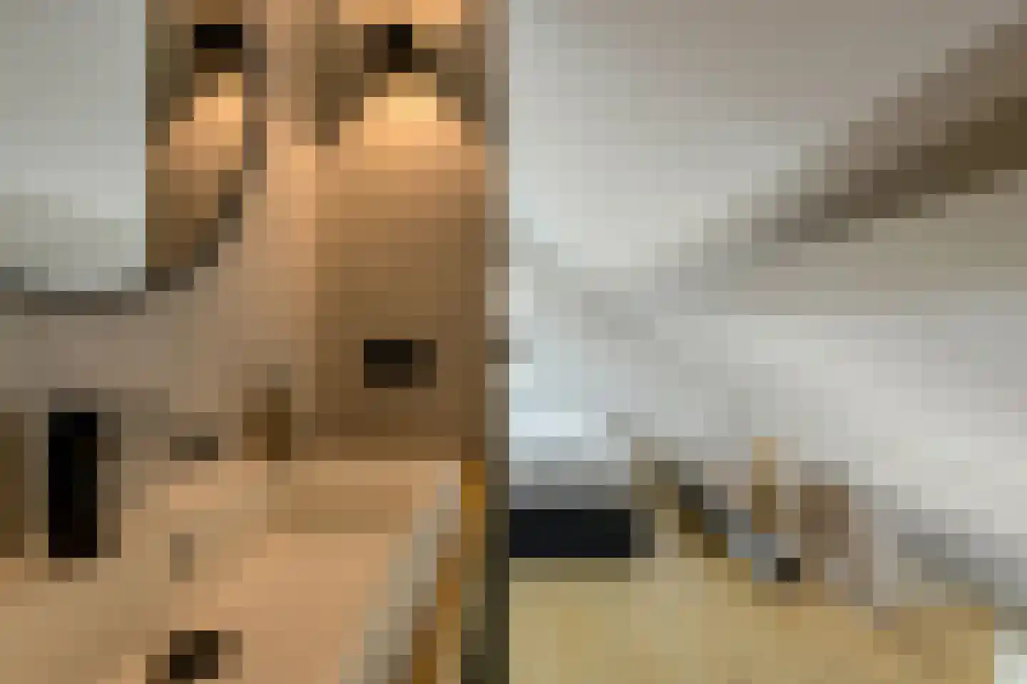 Zwanesteeg 8 Raamsdonksveer thumbnail 34