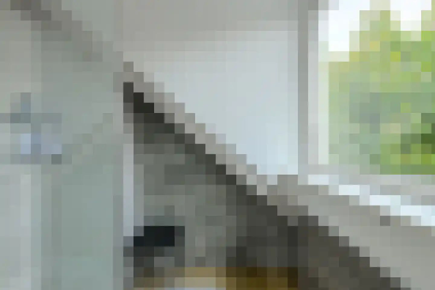 Zwanesteeg 8 Raamsdonksveer thumbnail 36