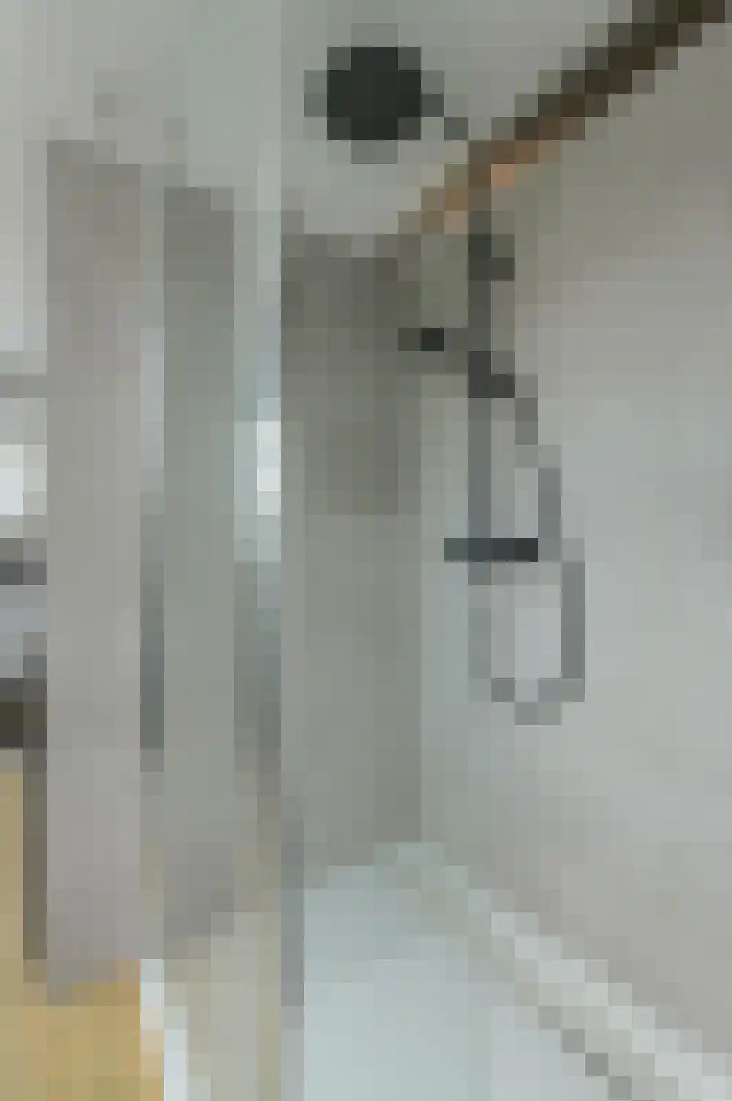 Zwanesteeg 8 Raamsdonksveer thumbnail 37