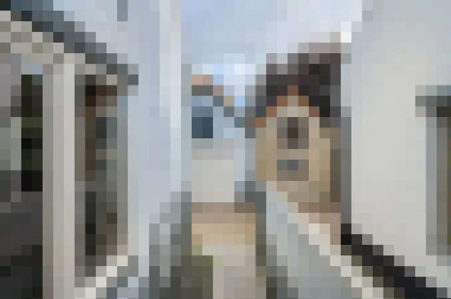 Zwanesteeg 8 Raamsdonksveer thumbnail 38
