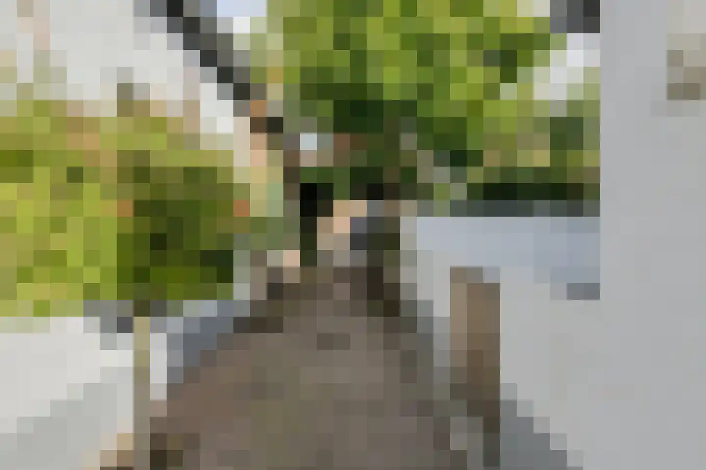 Zwanesteeg 8 Raamsdonksveer thumbnail 42
