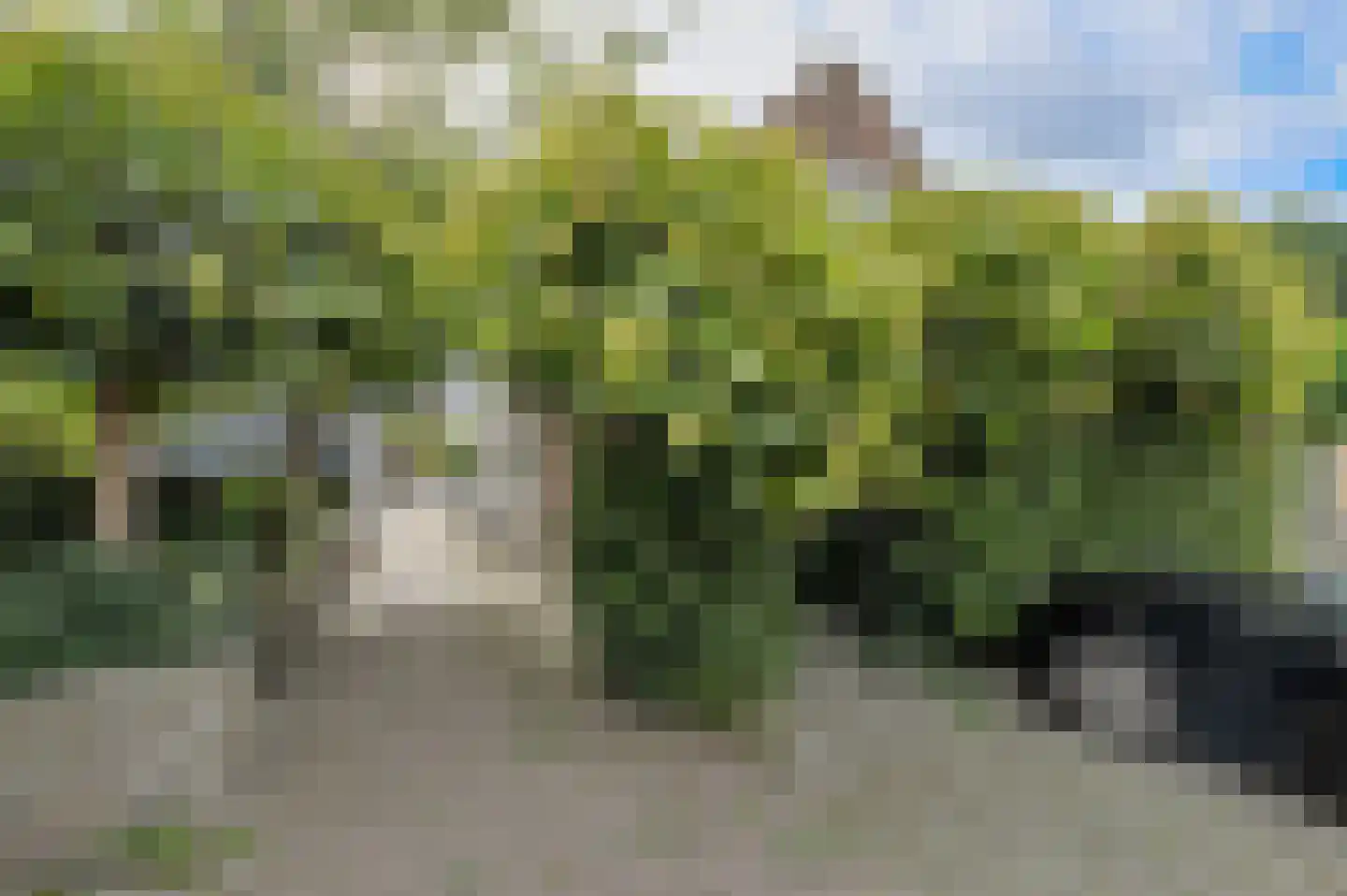Zwanesteeg 8 Raamsdonksveer thumbnail 46