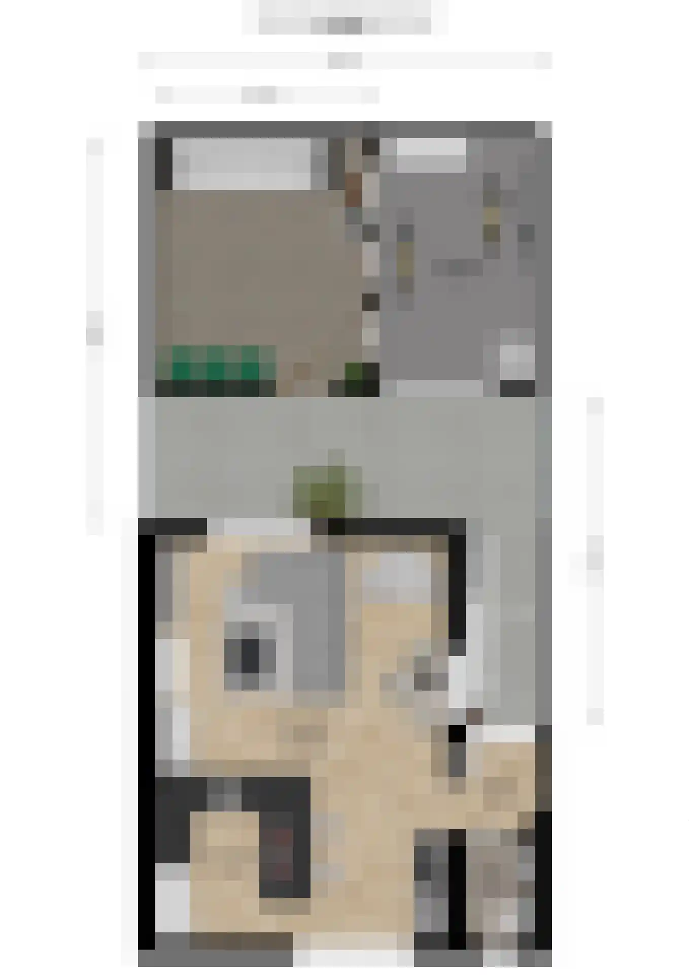 Zwanesteeg 8 Raamsdonksveer thumbnail 49