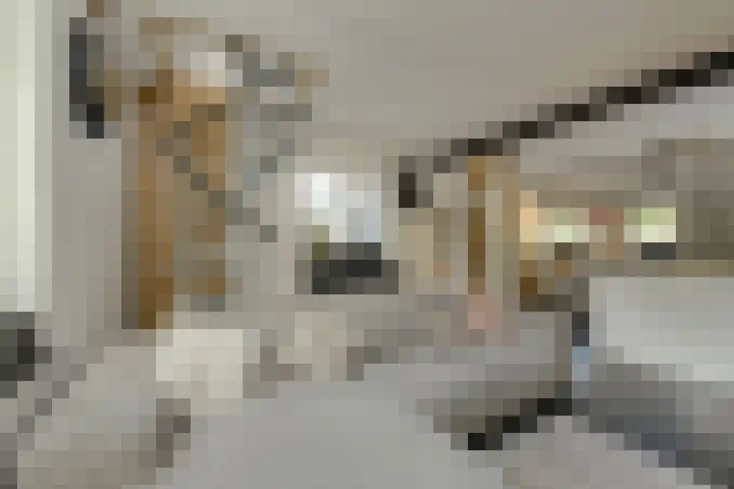 Zwanesteeg 8 Raamsdonksveer thumbnail 5