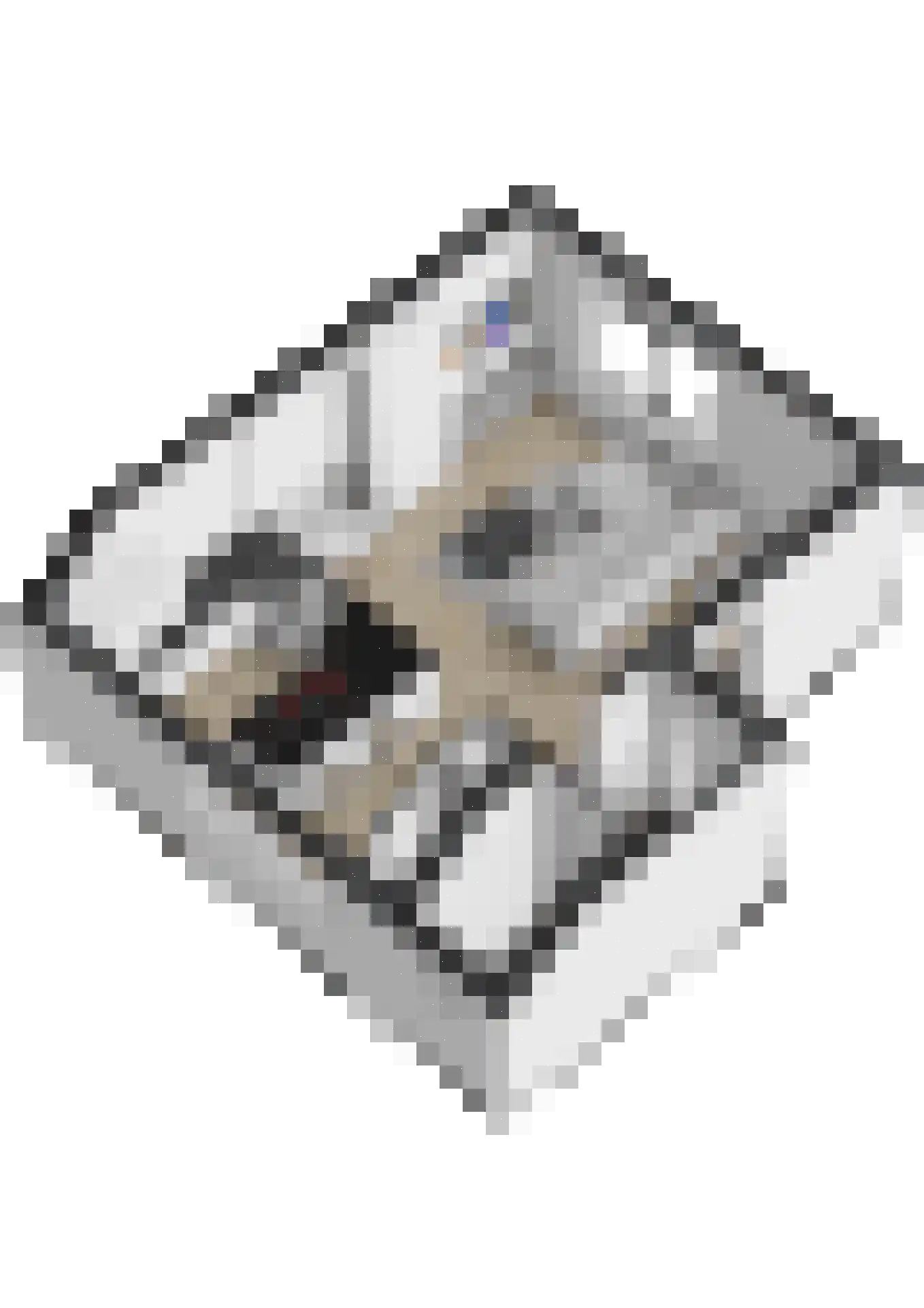 Zwanesteeg 8 Raamsdonksveer thumbnail 51