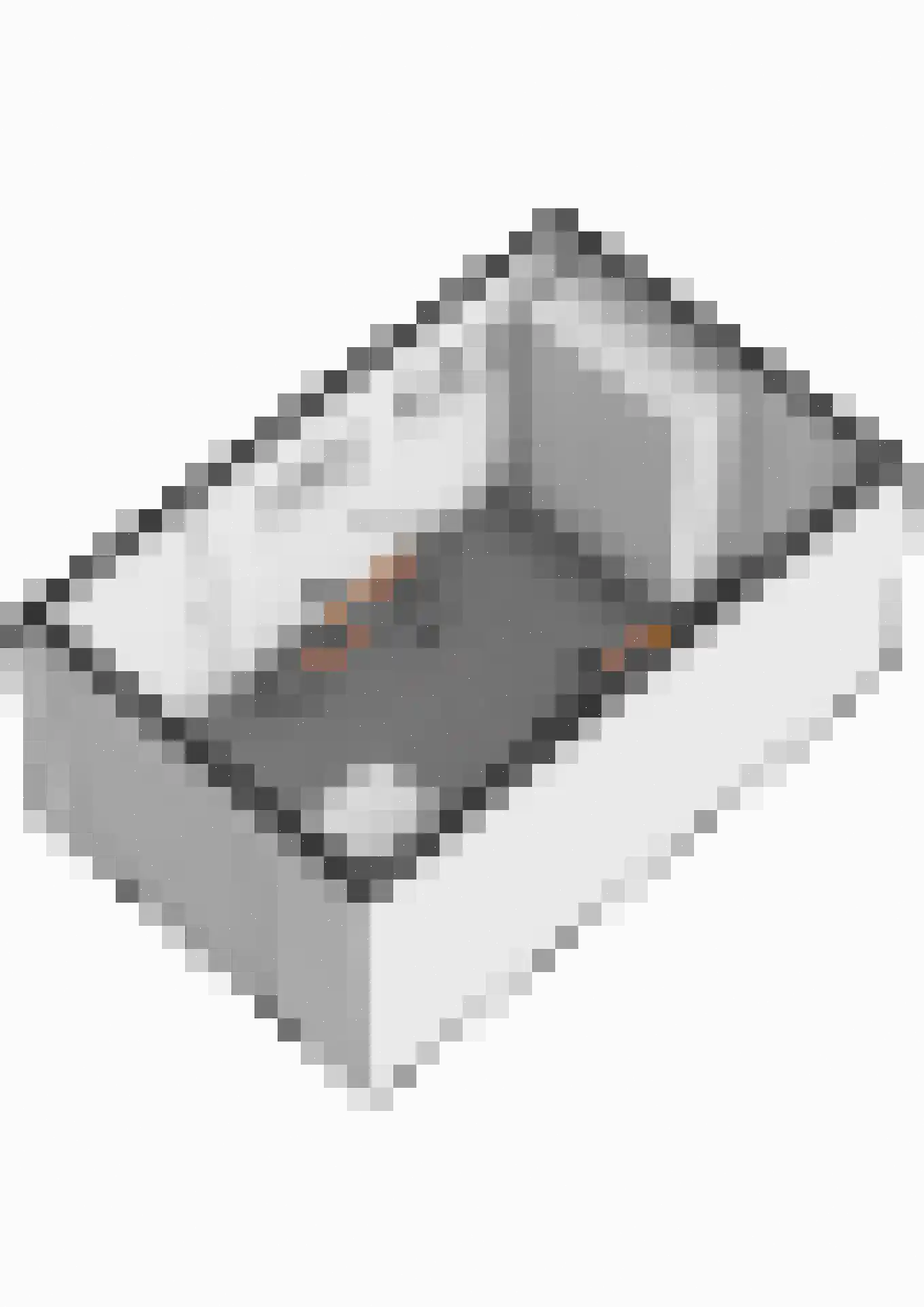 Zwanesteeg 8 Raamsdonksveer thumbnail 52