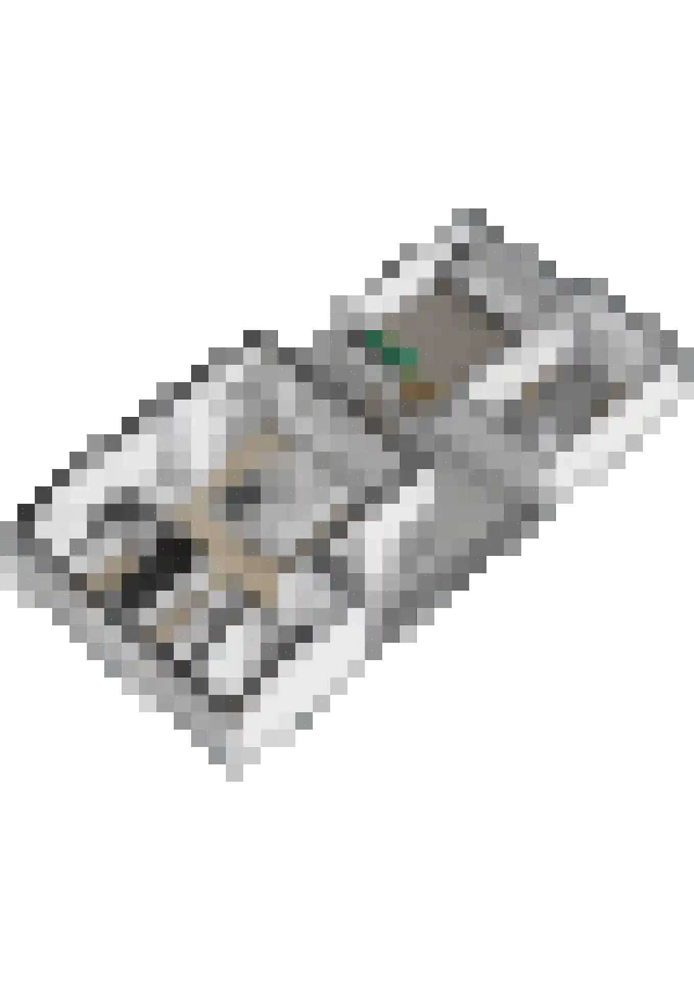 Zwanesteeg 8 Raamsdonksveer thumbnail 53