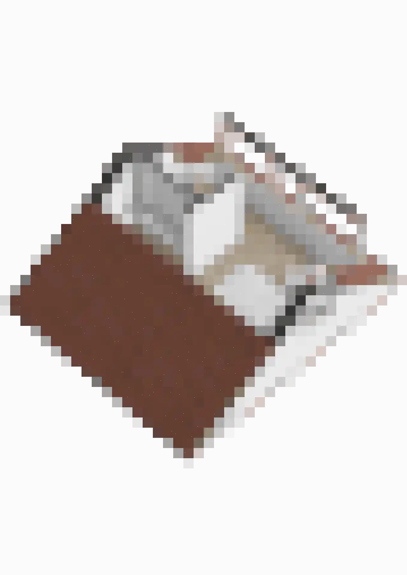 Zwanesteeg 8 Raamsdonksveer thumbnail 54