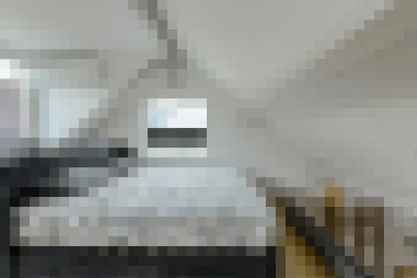 Zwanesteeg 8 Raamsdonksveer thumbnail 7