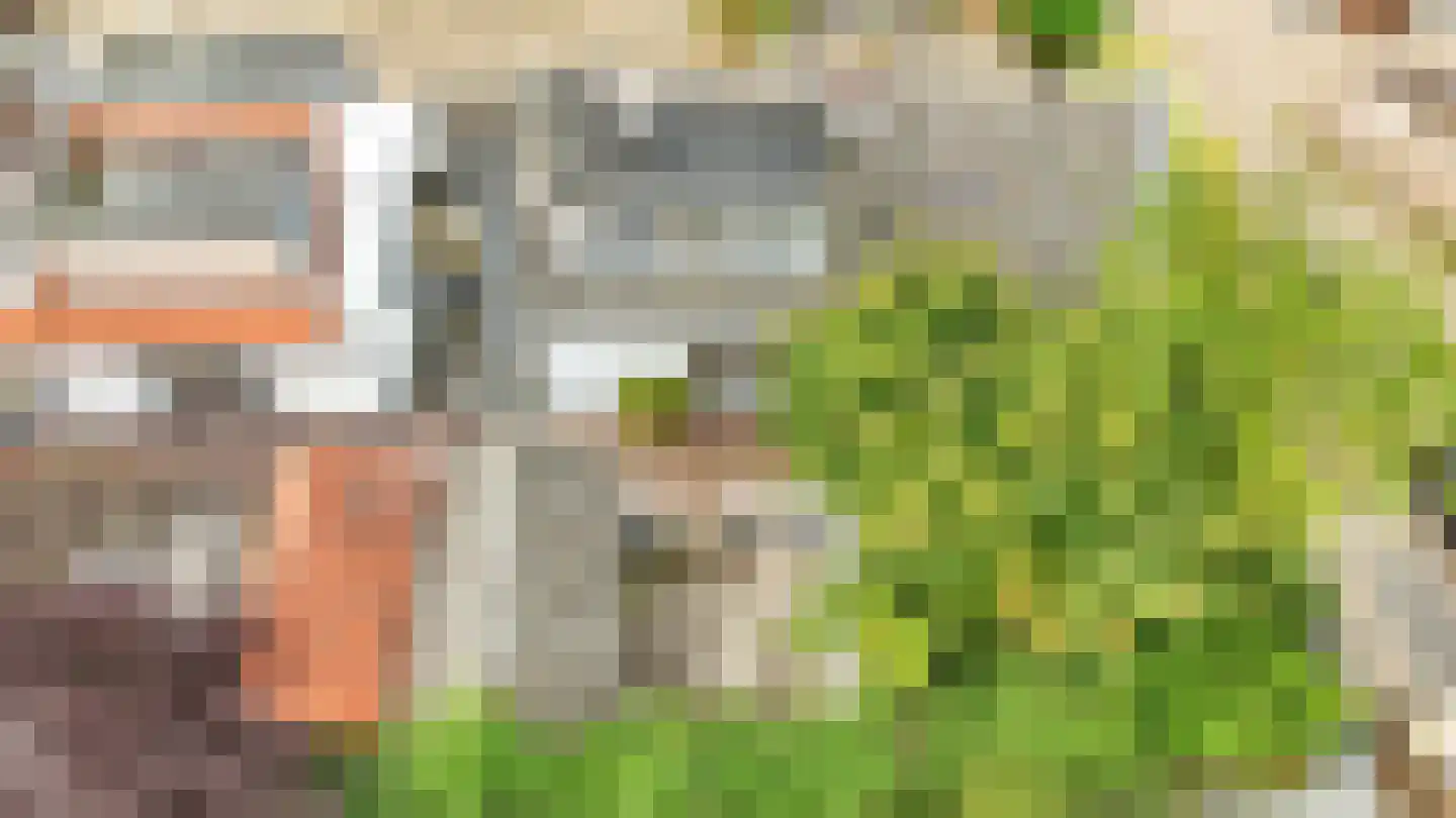 Zwanesteeg 8 Raamsdonksveer thumbnail 9
