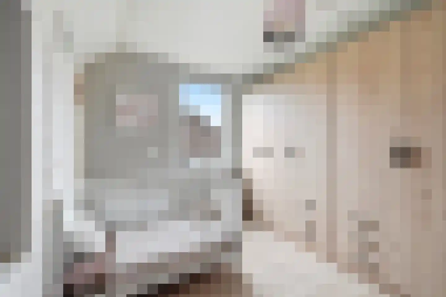 Zwanestraat 21 Heinkenszand thumbnail 25