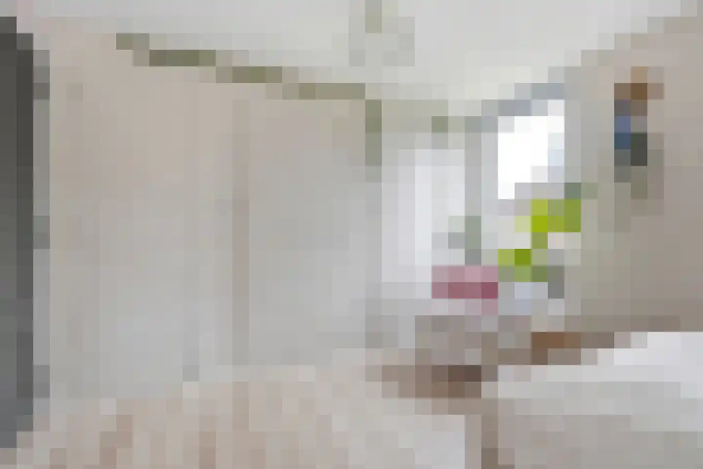 Zwanestraat 21 Heinkenszand thumbnail 31