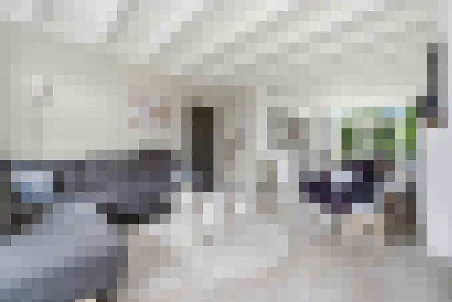 Zwanestraat 21 Heinkenszand thumbnail 5