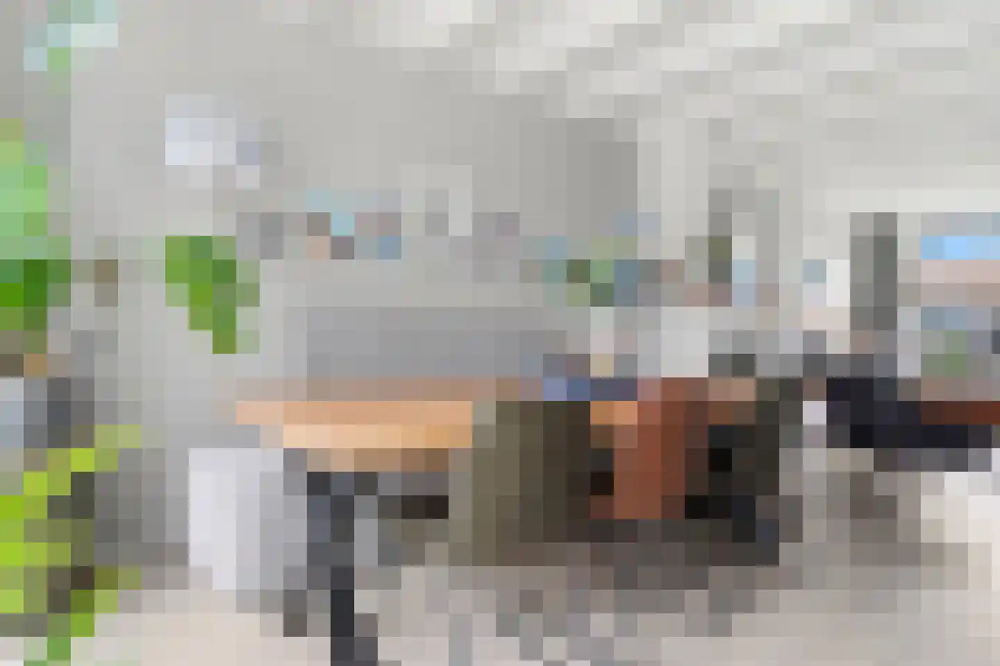 Zwanestraat 21 Heinkenszand thumbnail 7