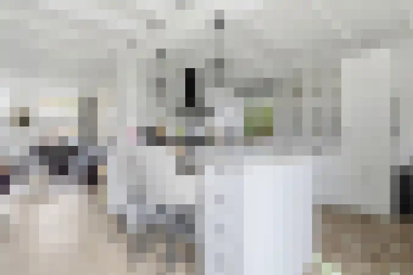Zwanestraat 21 Heinkenszand thumbnail 8