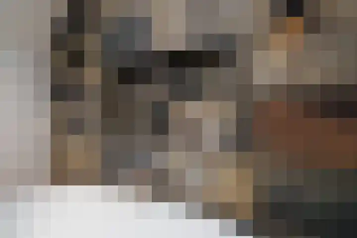 Zwart Janstraat 106 A Rotterdam thumbnail 29